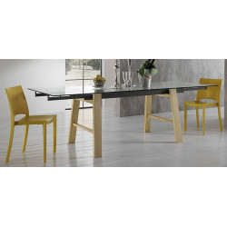 TABLE EXTENSIBLE EN VERRE HORNET