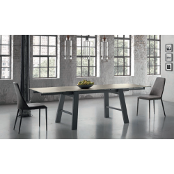 TABLE EXTENSIBLE HORNET