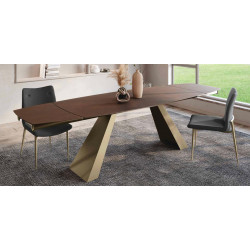 TABLE TONNEAU EXTENSIBLE EN...