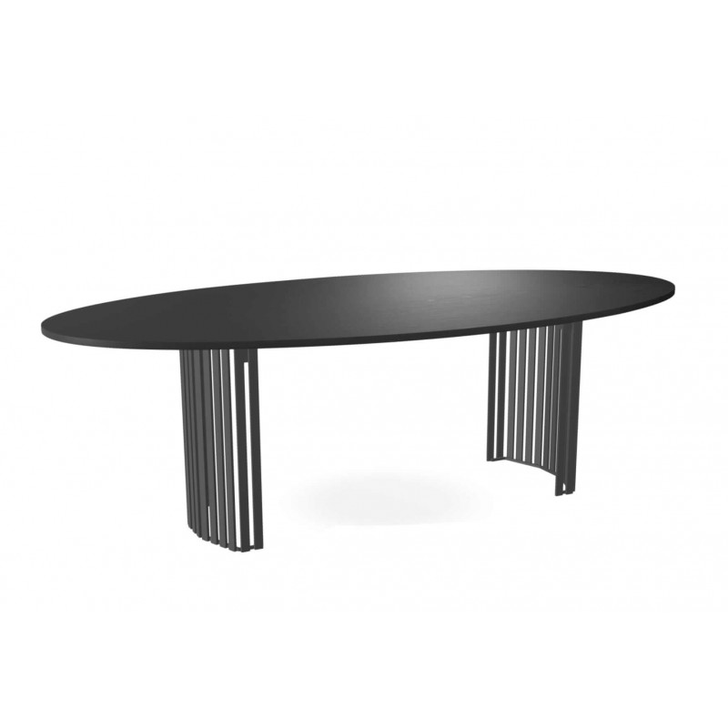 TABLE OVALE DE GRANDE DIMENSION CANVAS