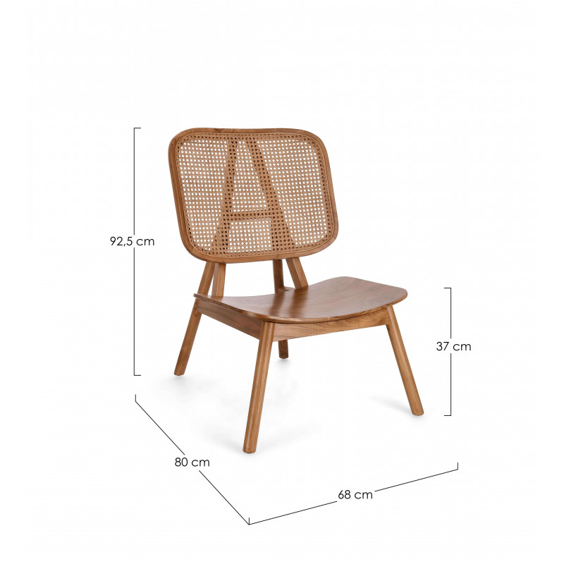 FAUTEUIL LOUNGE SALON CANNAGE YVES