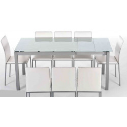 TABLE EN VERRE AVEC ALLONGES